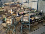 [SF Harvest 2009 003.jpg]